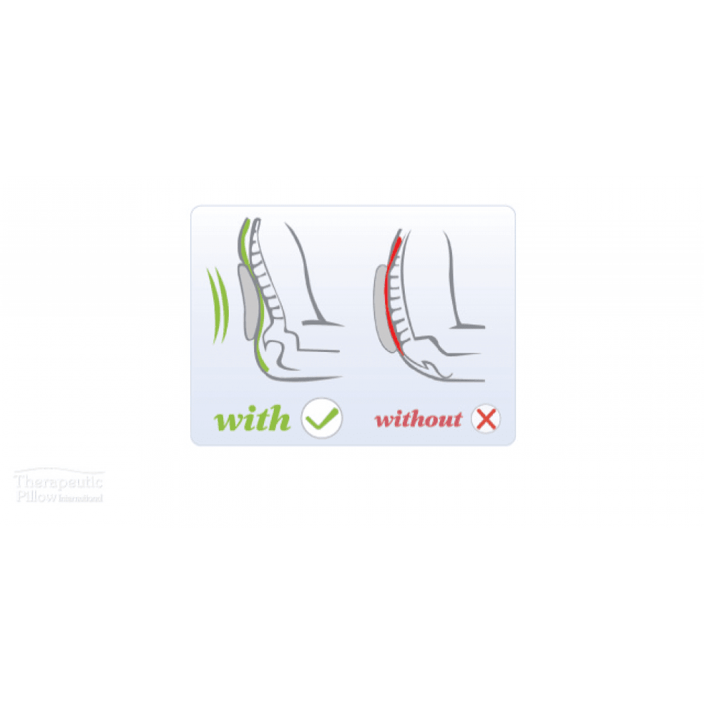 Back Huggar Lumbar Cushion - Image 2