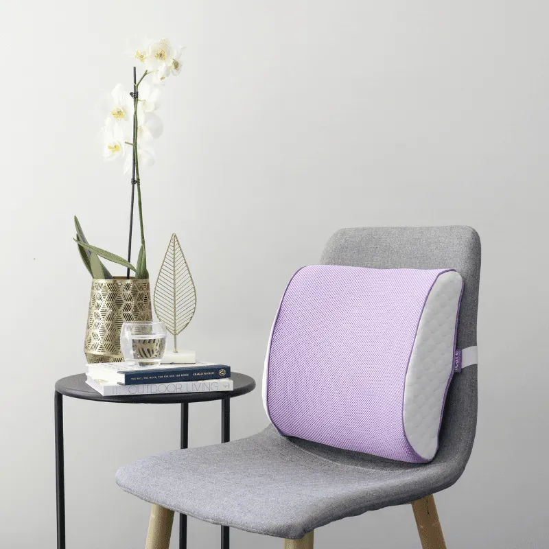 ICare Back Cushion
